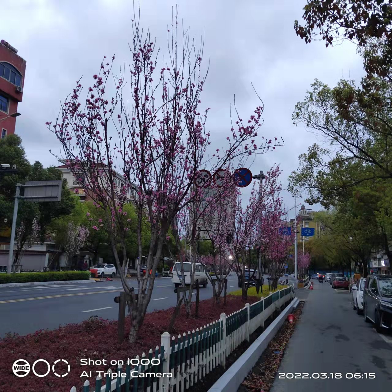 萧山风景拍照打卡地,萧山网红打卡景点春季