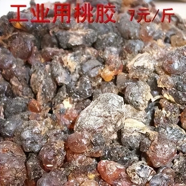 桃胶有什么用怎样吃,桃胶有什么用处能美白吗