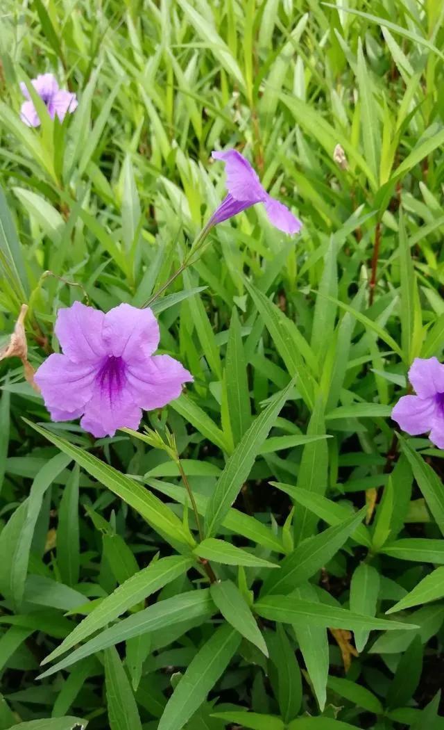 学习认知,认知觉醒总结及感悟