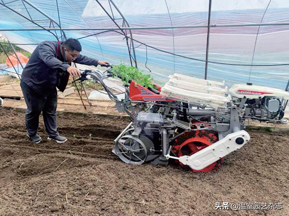 机械插秧和人工插秧区别,机械植树效果