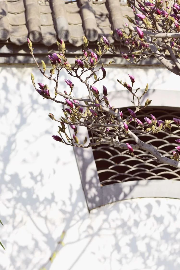 滦州古城都有哪些特色美景,滦州古城江南