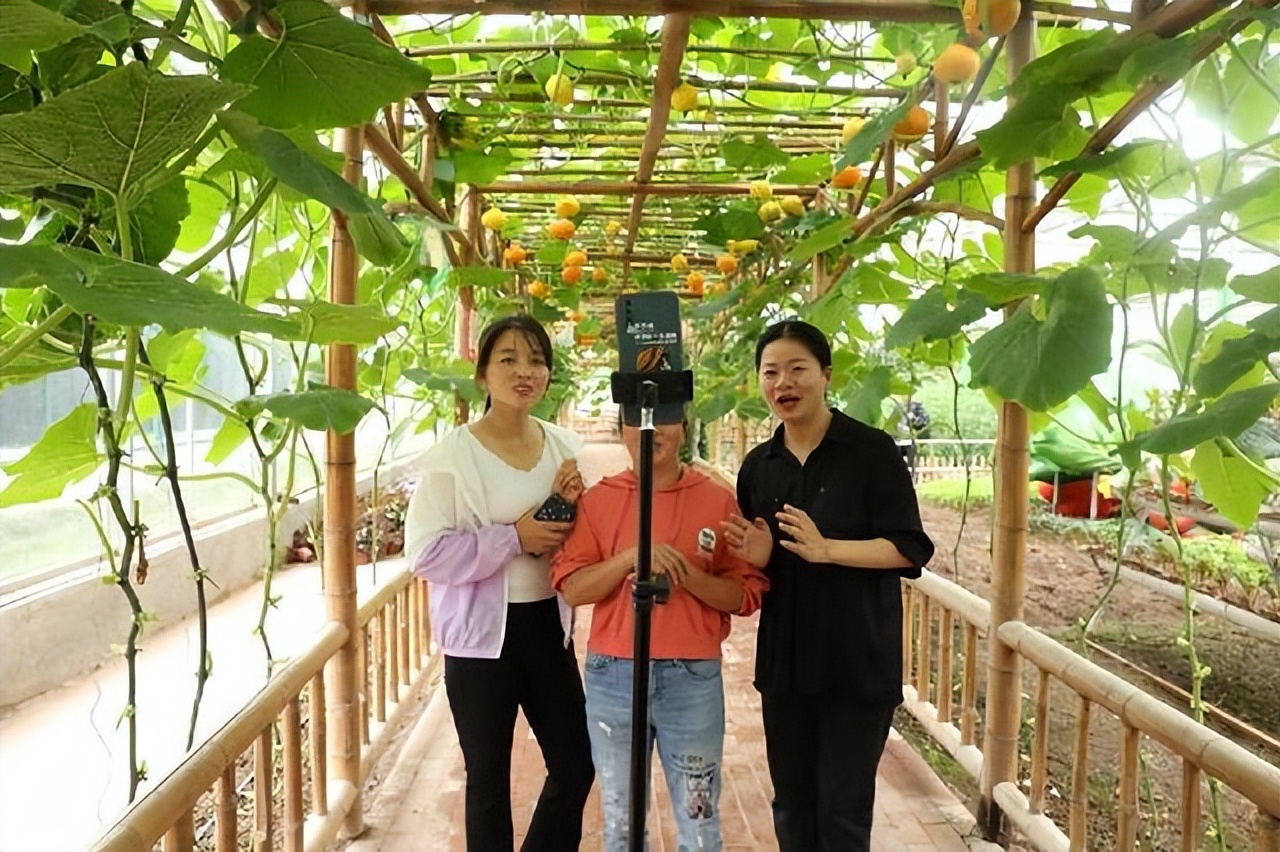 农民主播新农人,2022年新农人主播