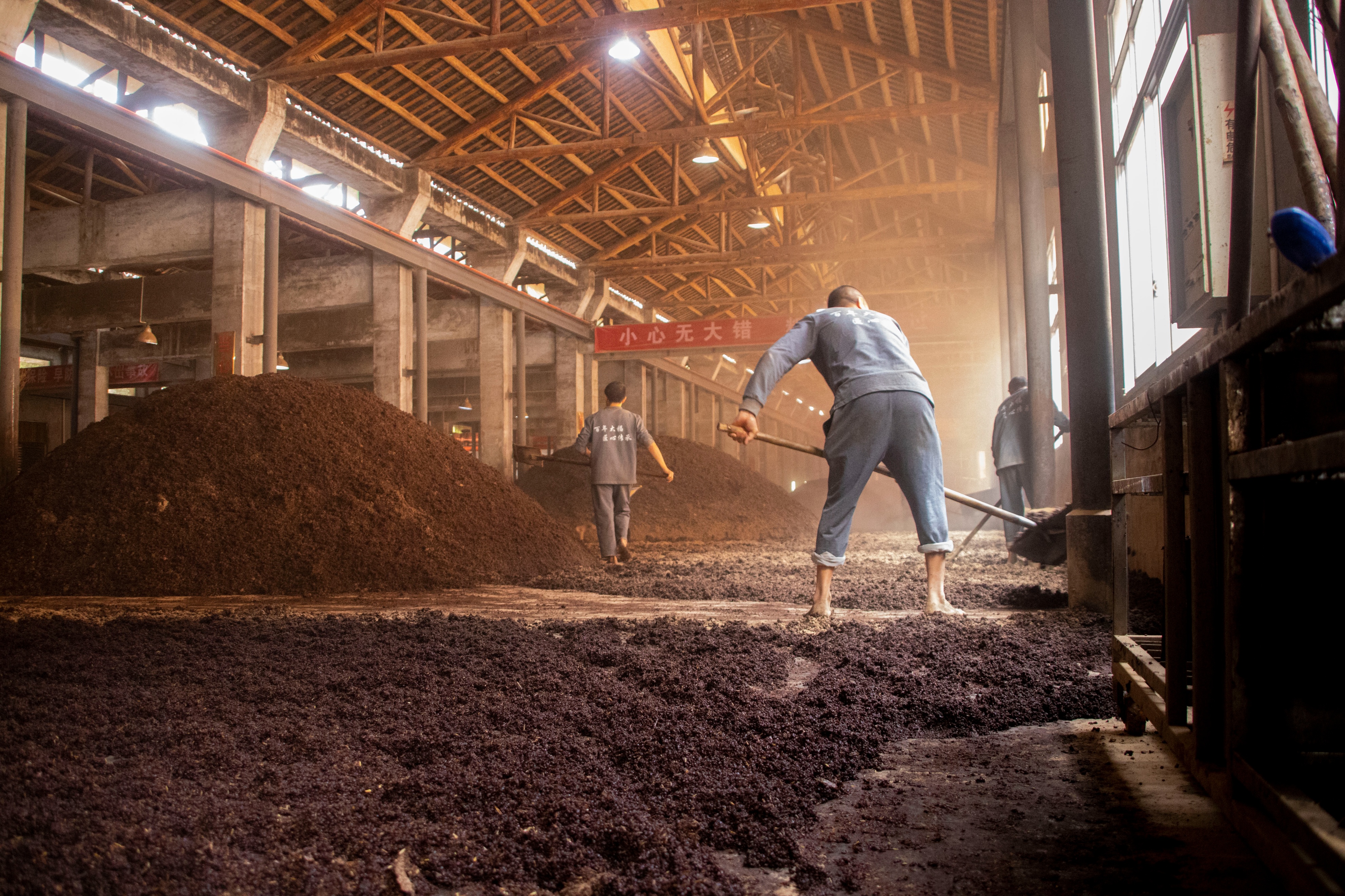 揭秘茅台镇酱酒热背后的秘密