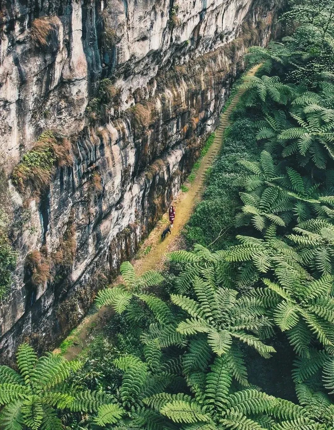 比成都好吃的火锅店,这座小城比杭州撩人美食不输潮汕