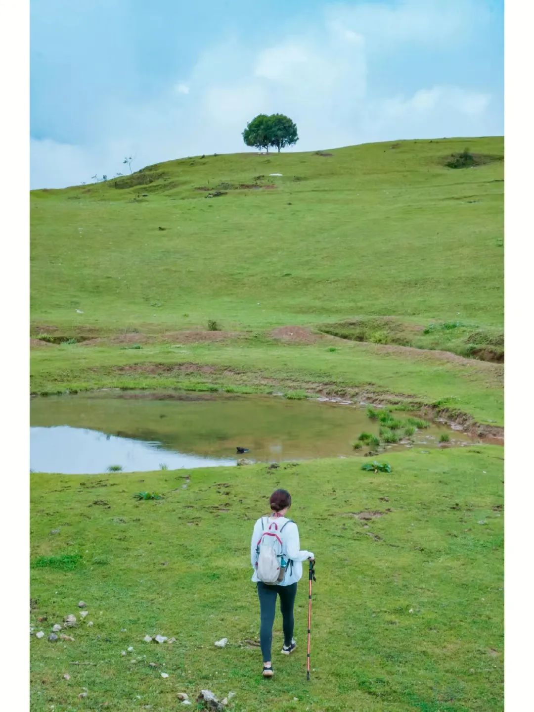北纬52°1314，这个“为爱而生”的地方，连空气都是甜的