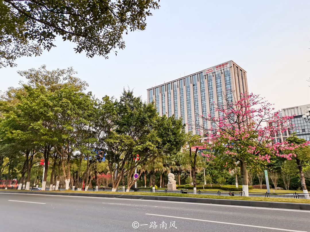 广州最偏远的区是什么区,广州市各区实力排名