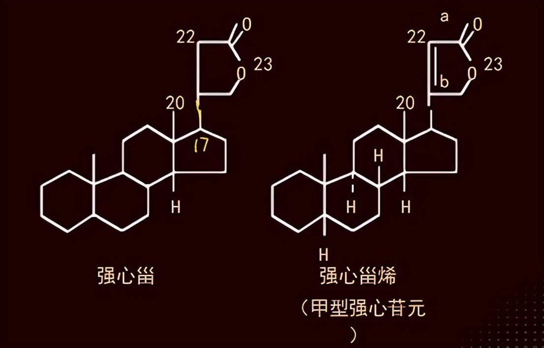 世界上最毒的树出门一定要注意,世界上最毒的树前10名