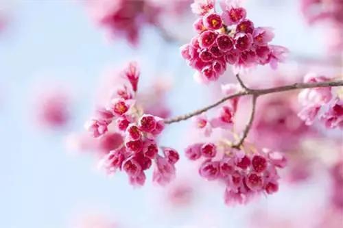 人生百味谁能不累熬过就是重生,人生百味谁能不累熬过了就是重生