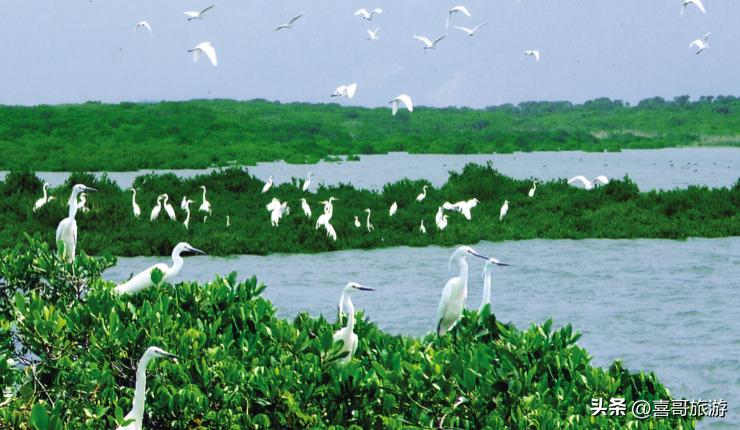 福建漳州云霄有什么好玩的景点,福建云霄旅游攻略路线