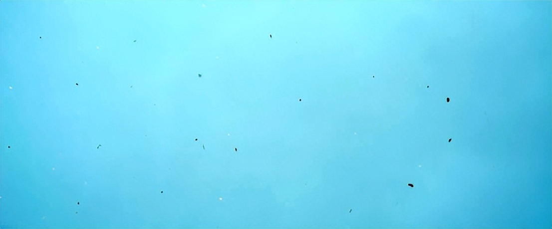 一上映就登票房榜首看完大呼过瘾,首播便拿下收视第一