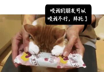 o型血的人最容易被蚊子咬吗,蚊子最爱o型和b型血