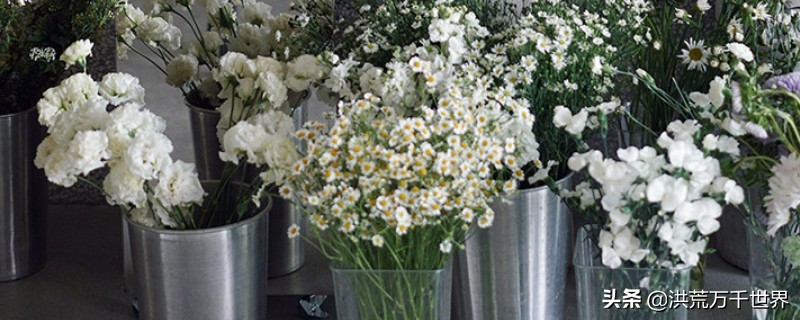 鲜花买回来后应该怎么养,向日葵鲜花收到后怎样醒花