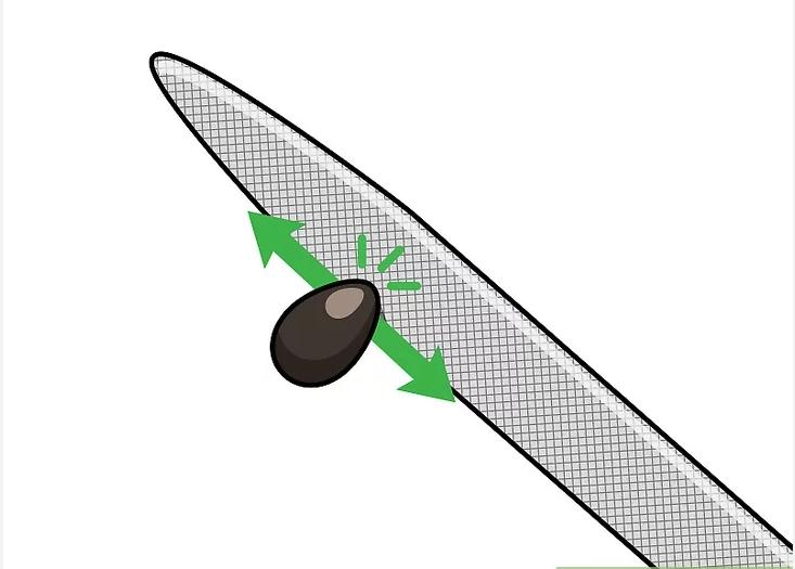 怎么种植莲花盆栽,如何种植莲花芋头