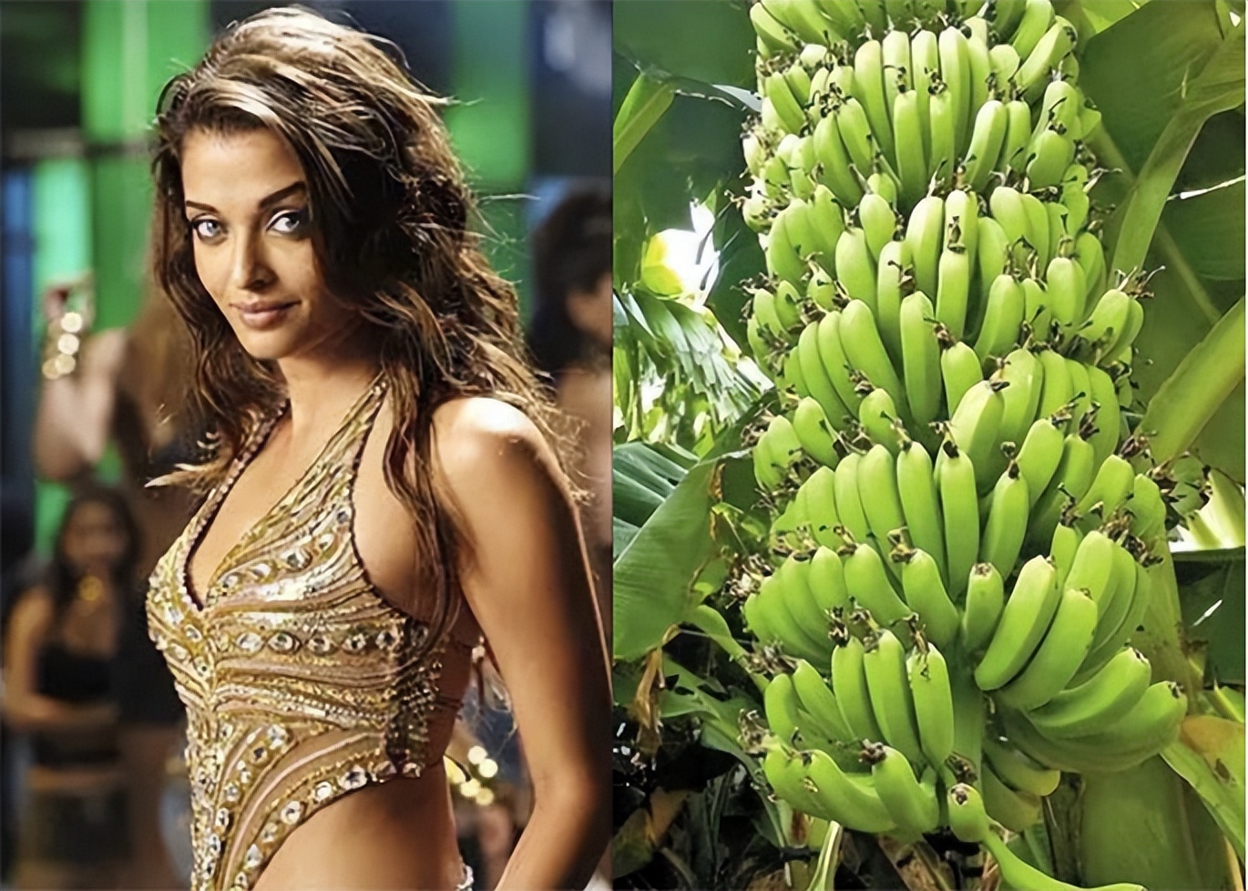 印度历史上最美丽的25位美女,印度第一美人惊艳全场