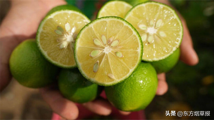 青柠的味道酸苦,青柠的香味描述