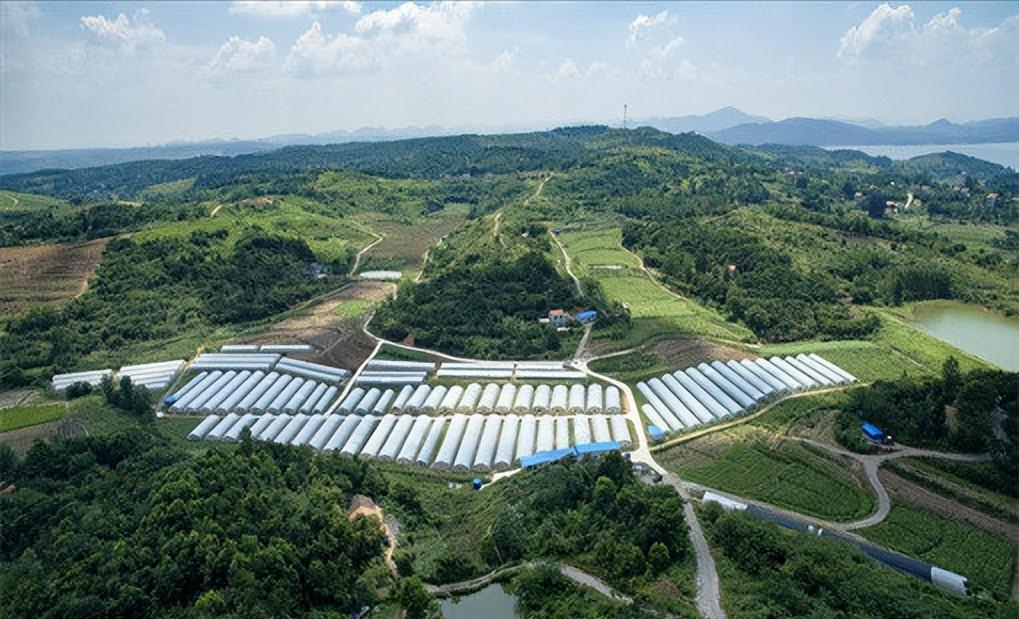 新兴城市适合创业项目,农村新兴行业创业项目