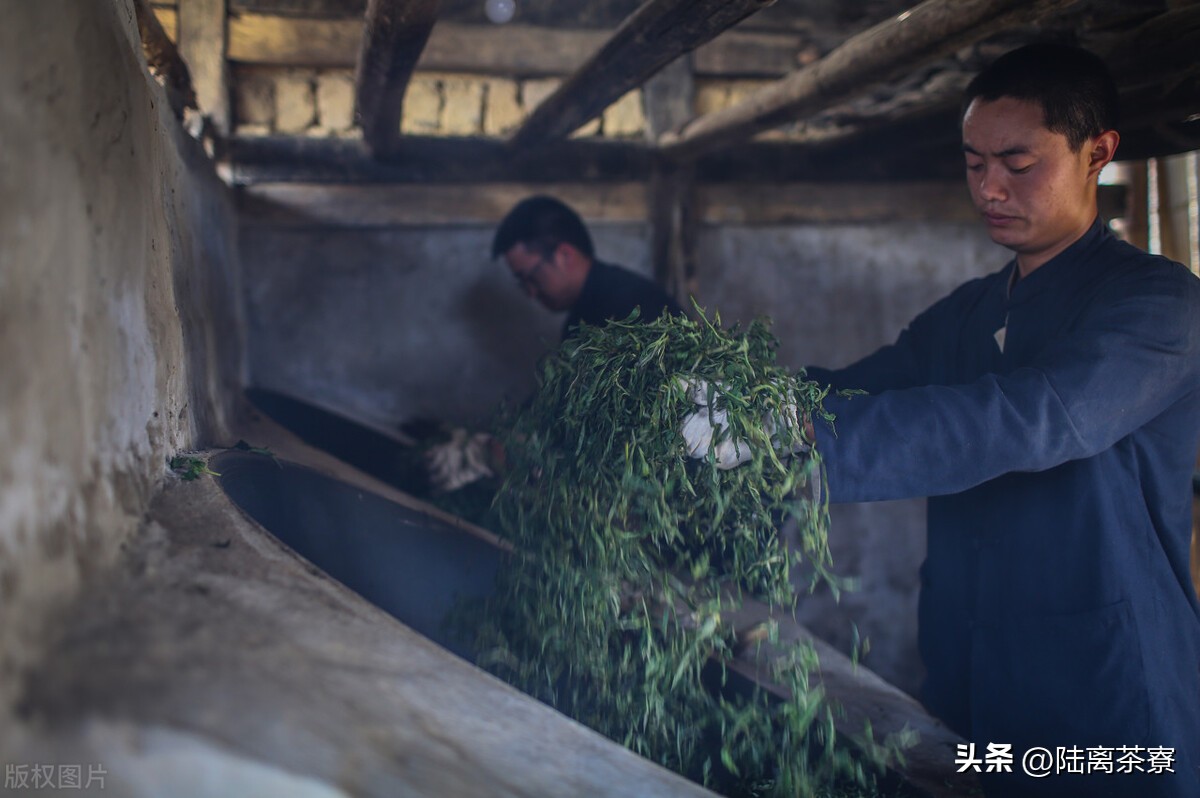 普洱茶杀青的详细介绍,普洱茶之鲜叶篇