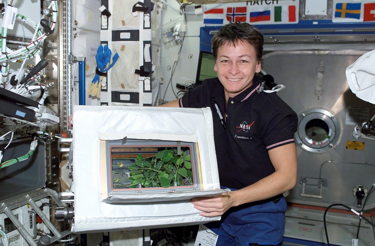 国际空间站到底有什么用,国际空间站起哪些作用呢