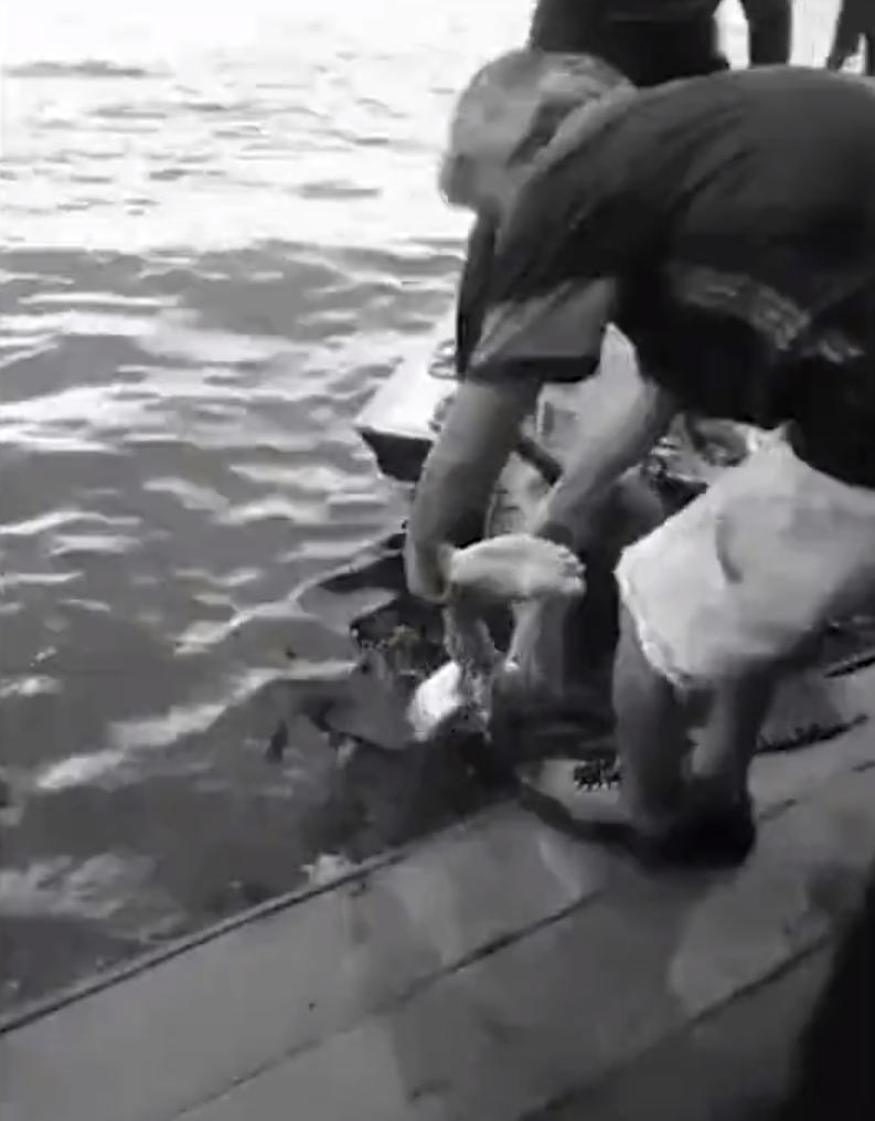 巴西球员被食人鱼吃剩骨,巴西球员惨遭食人鱼