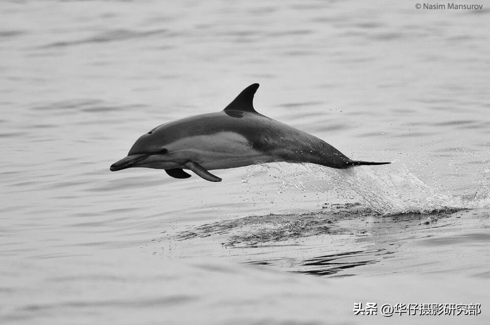 手机相机怎样设置拍摄时间和地址,原相机怎么设置好看的拍照参数