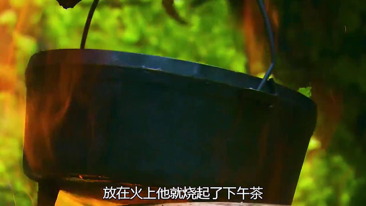 荒野求生德爷,荒野求生100天全集完整版