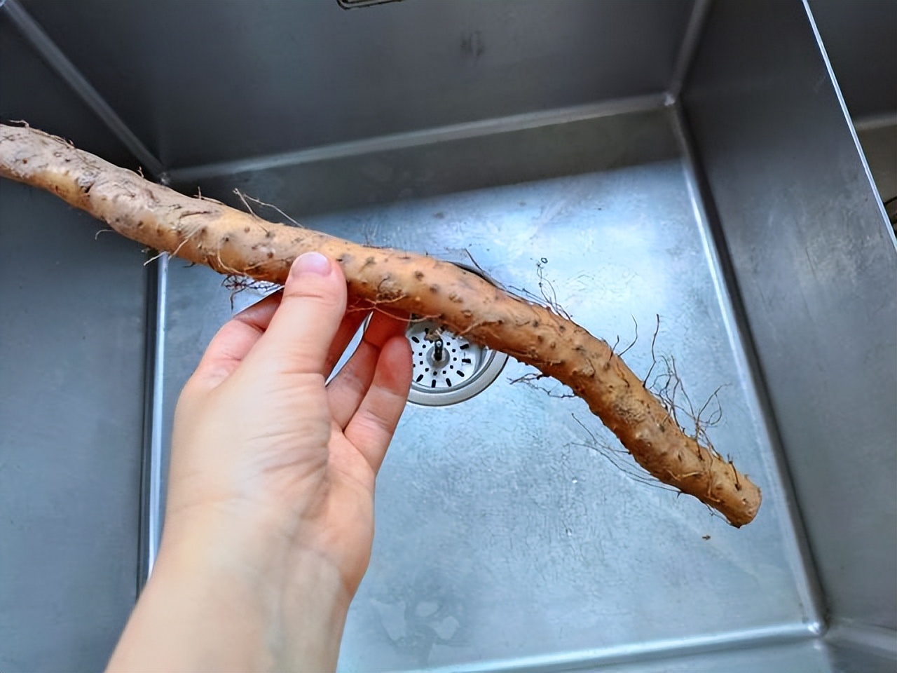 山药紫薯奶香小馒头给孩子吃,山药小馒头孩子一口一个吃不够