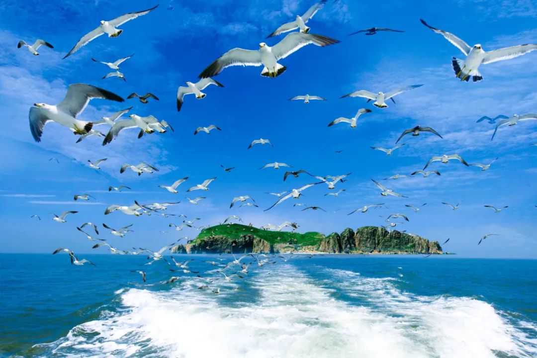 三亚最好的海滨小城,三亚最好的海边小城市