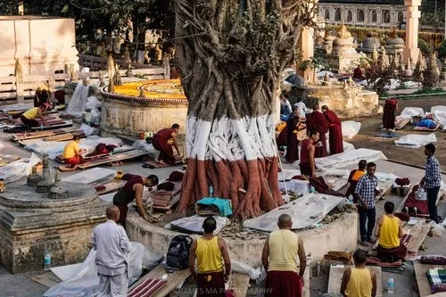 全球十大佛教寺庙,中国十大佛教圣地实景佛像