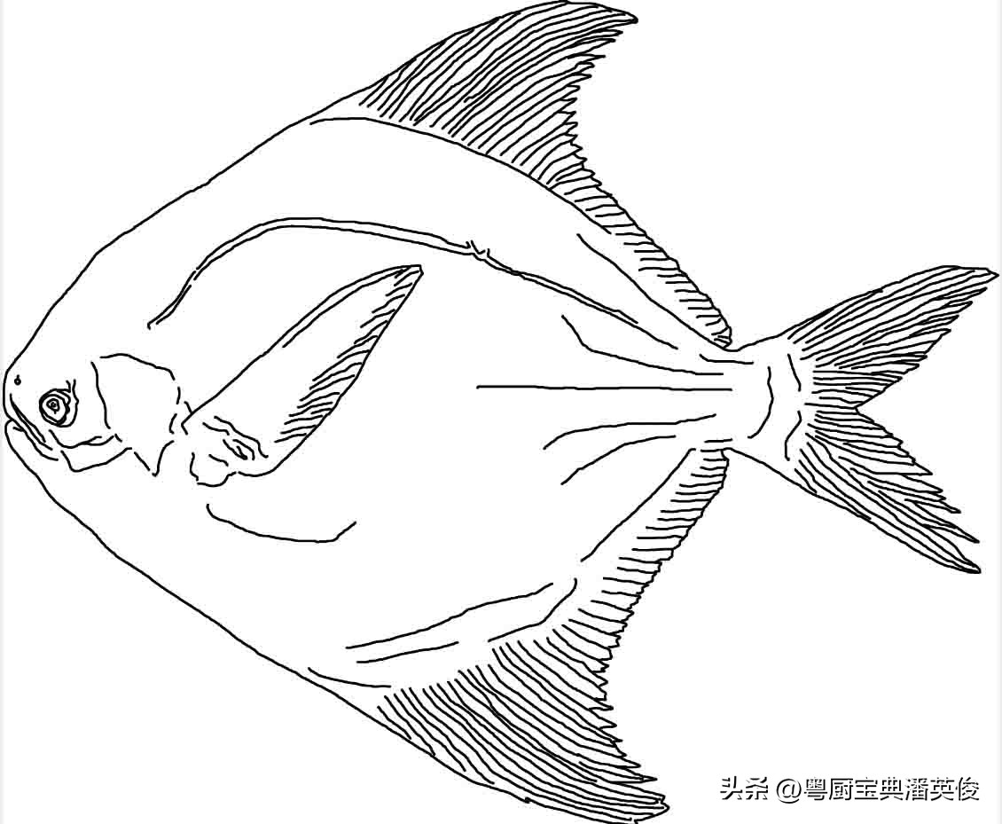 食材知识学习,食材知识视频教程