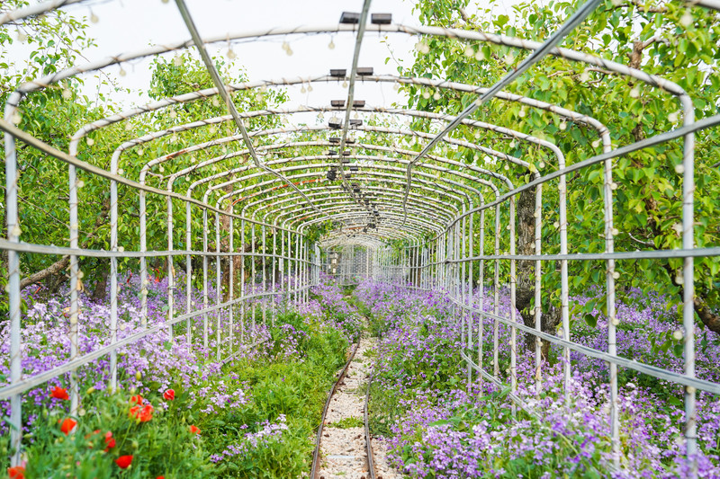 宿州两日游,安徽宿州一日游推荐