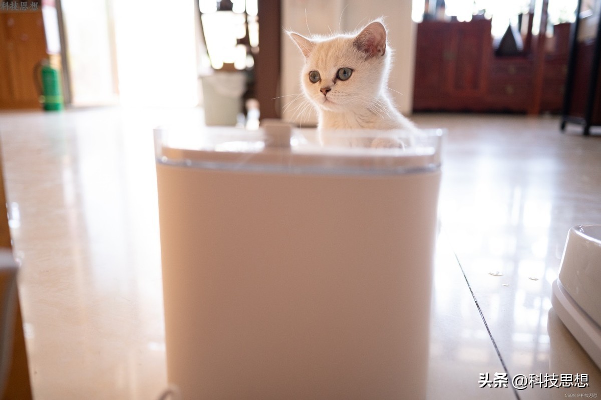 猫咪喝水神器智能不插电恒温,猫咪智能喂水器