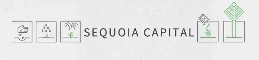 谁都需要一支伟大的团队|SequoiawithU