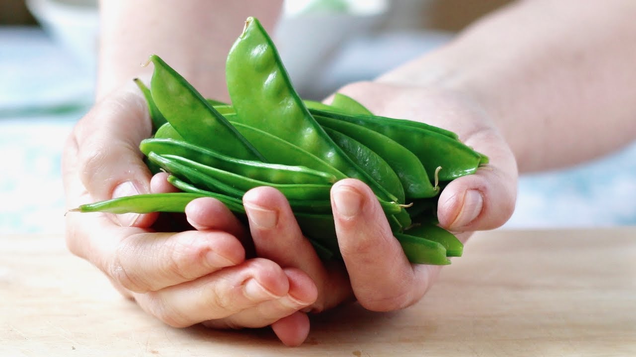 立秋煲养肺润肺汤用什么材料,立秋养肺润肺蔬果