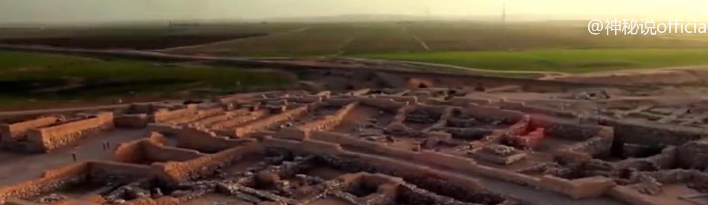 老人去儿子家养老视频,老人到底该不该去儿女家养老