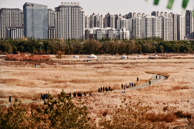 包头142号通告,包头市第124号通告