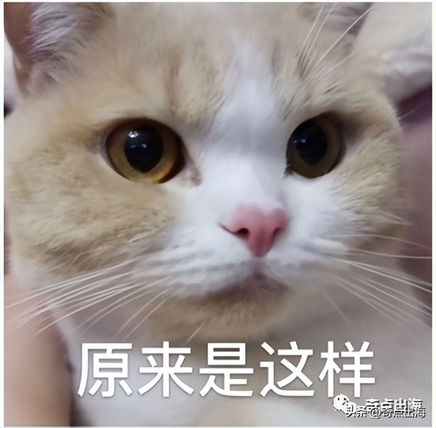 cdf买的东西没有清关记录 (cds未注册是否影响清关)