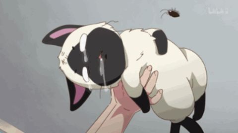 好看的沙雕国漫修仙动画,沙雕修仙国漫推荐