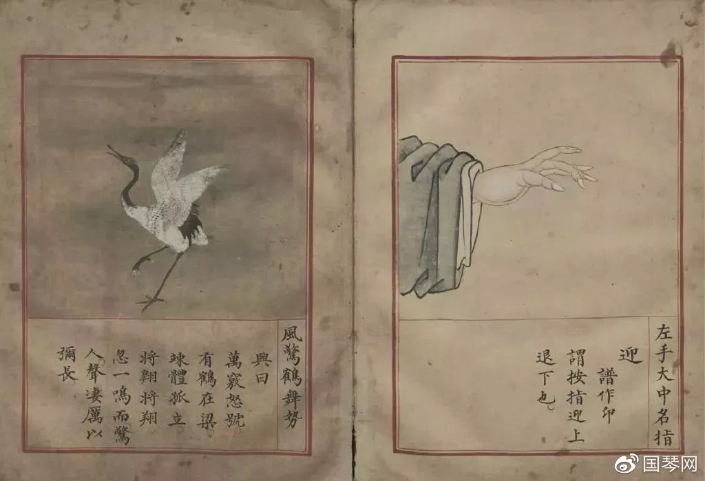 风惊鹤,风惊鹤舞