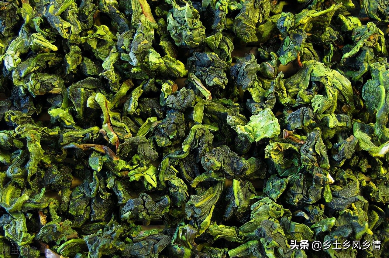 乌龙茶什么人爱喝,三得利乌龙茶是什么品种的乌龙茶