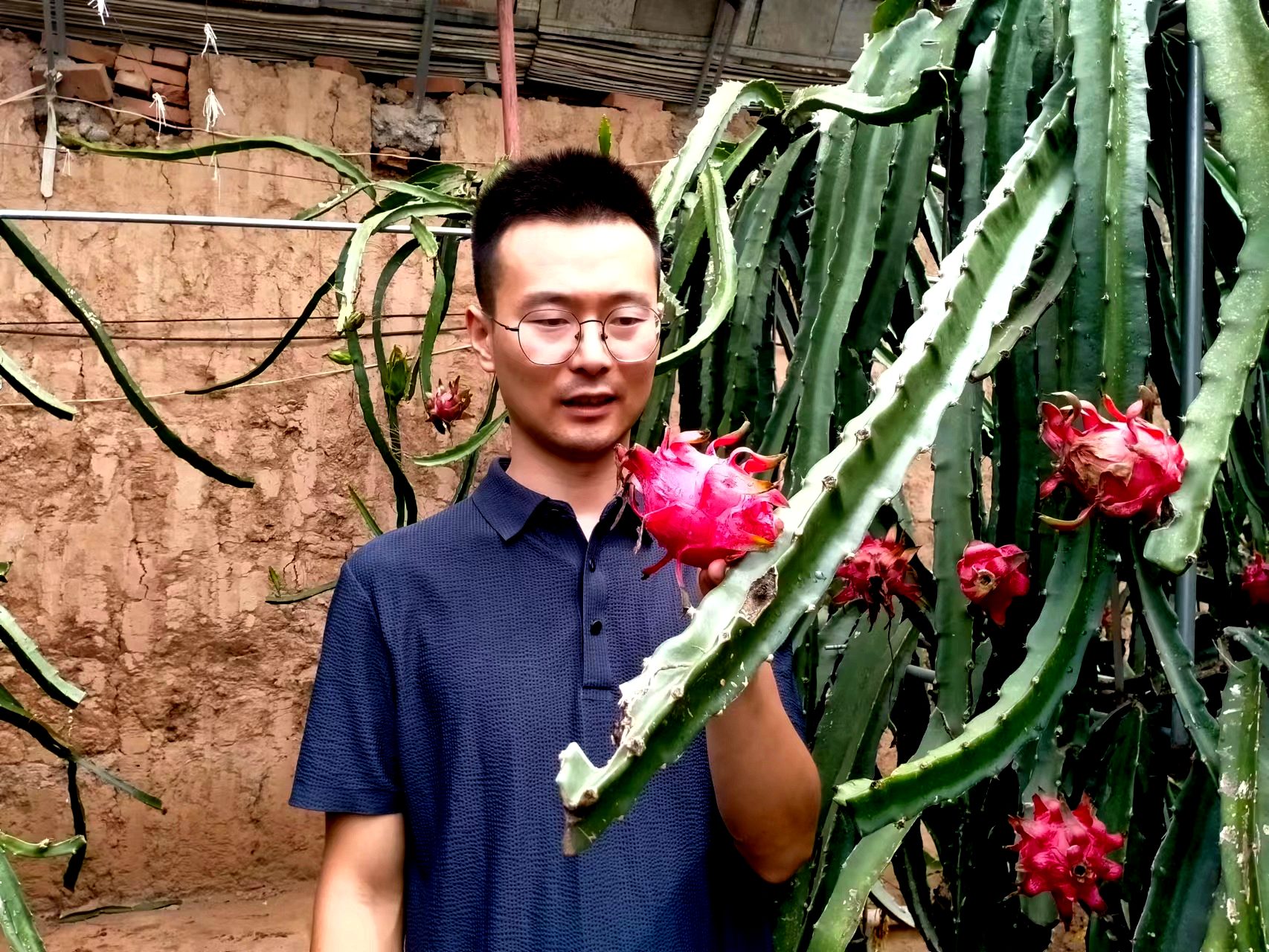 安康农村大学生杨凌创业11年投资特色种植实现人生价值