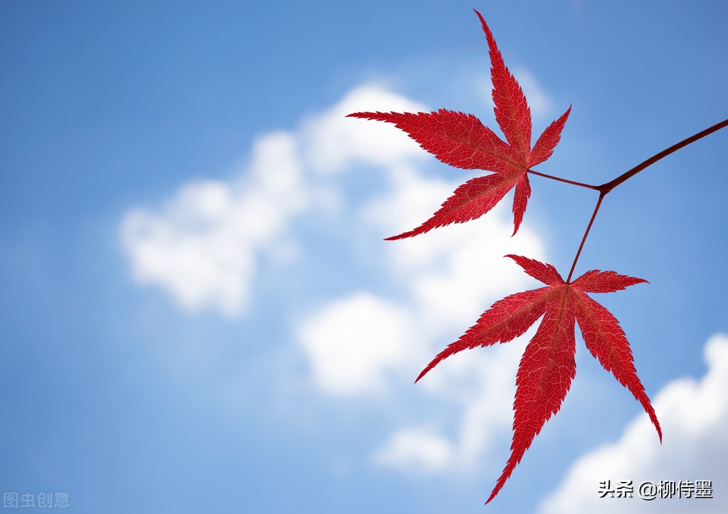 照片拍出来难看怎么修图,照片不能瞎拍