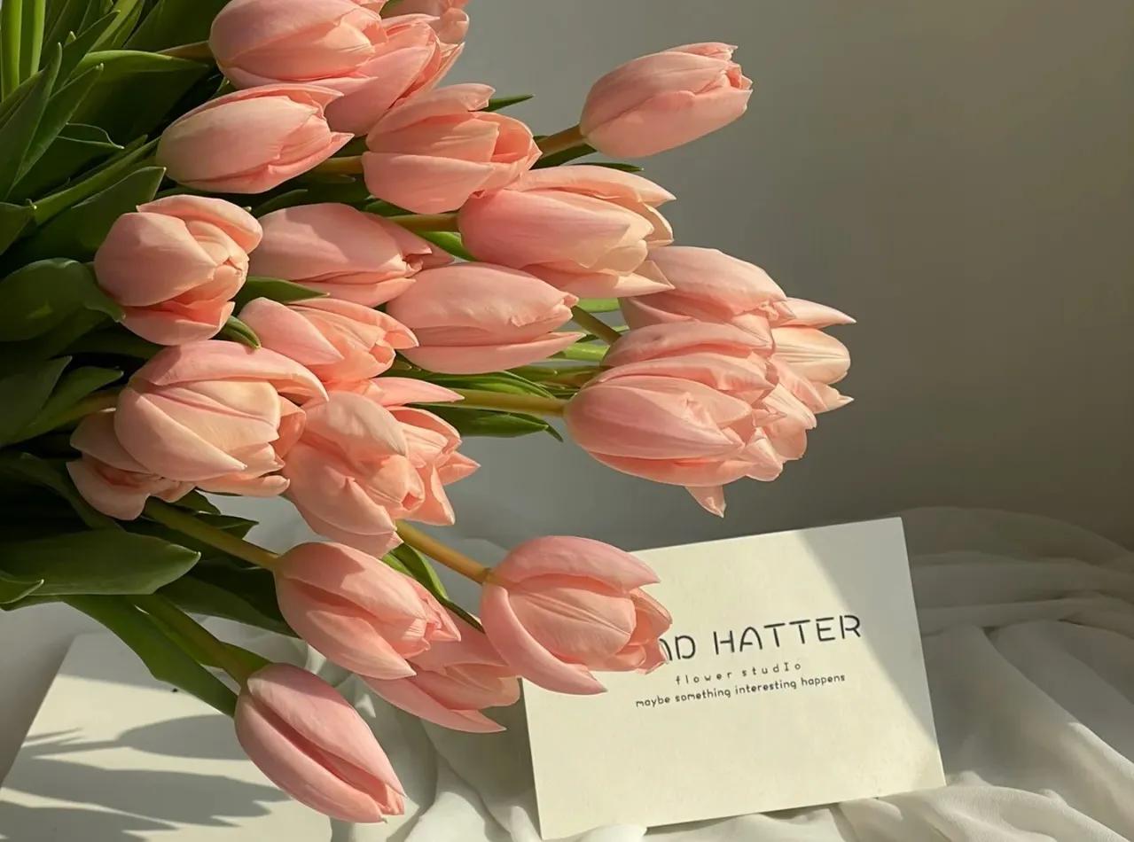 哪些花的花语惊艳了你好久呢,被哪种花的花语惊艳到