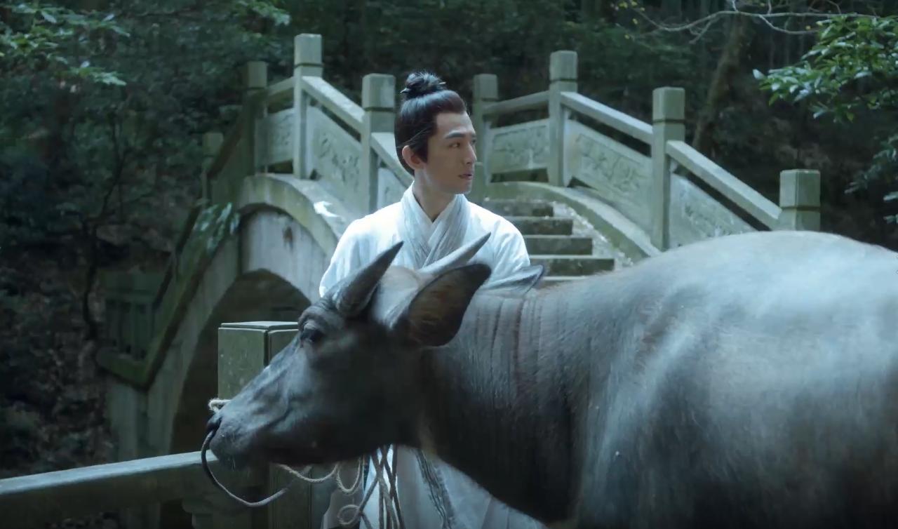 雪中悍刀行洪洗象一生,雪中悍刀行洪洗象成道