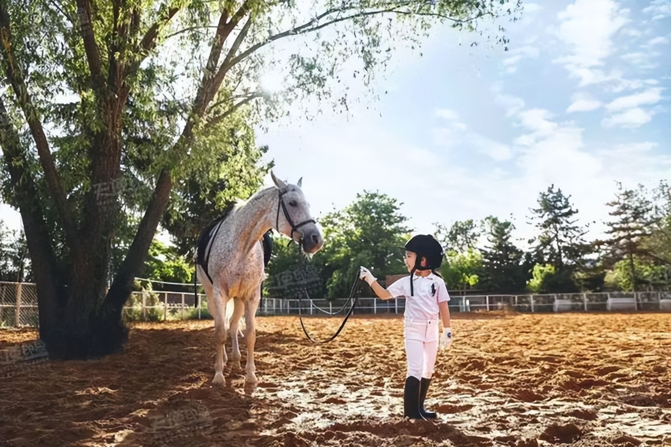 兰永三河口悉地塬野生态农林公园,坐在山头看风景