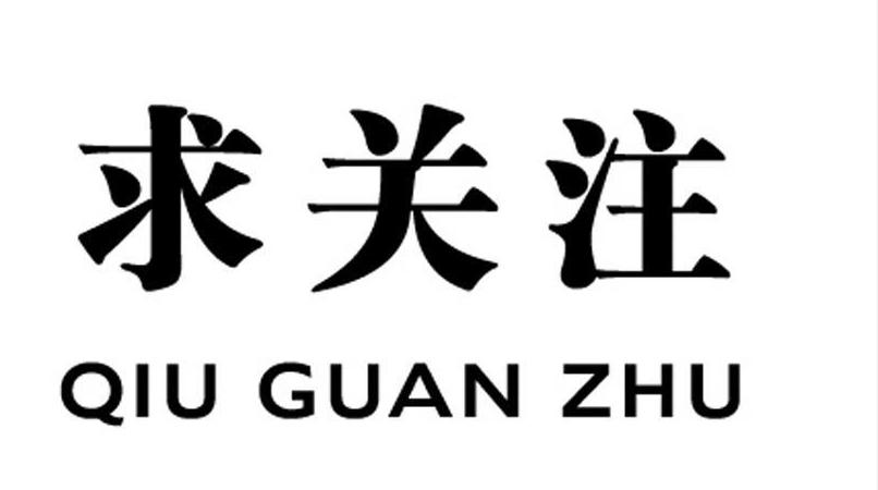平价又好养的几种猫,平价好看猫