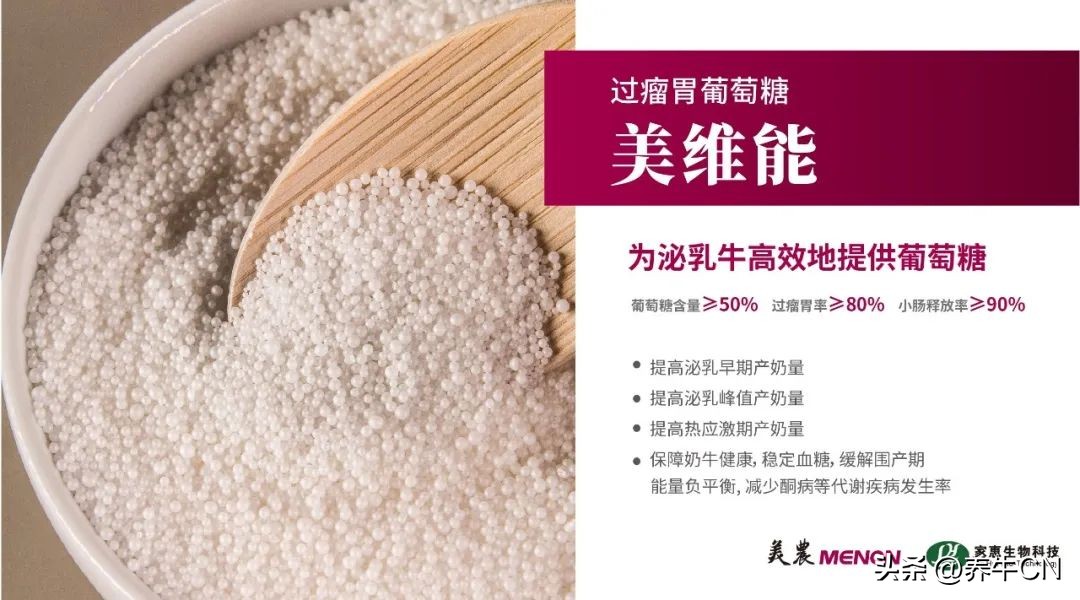 年长奶牛通常是产后瘫的猎物