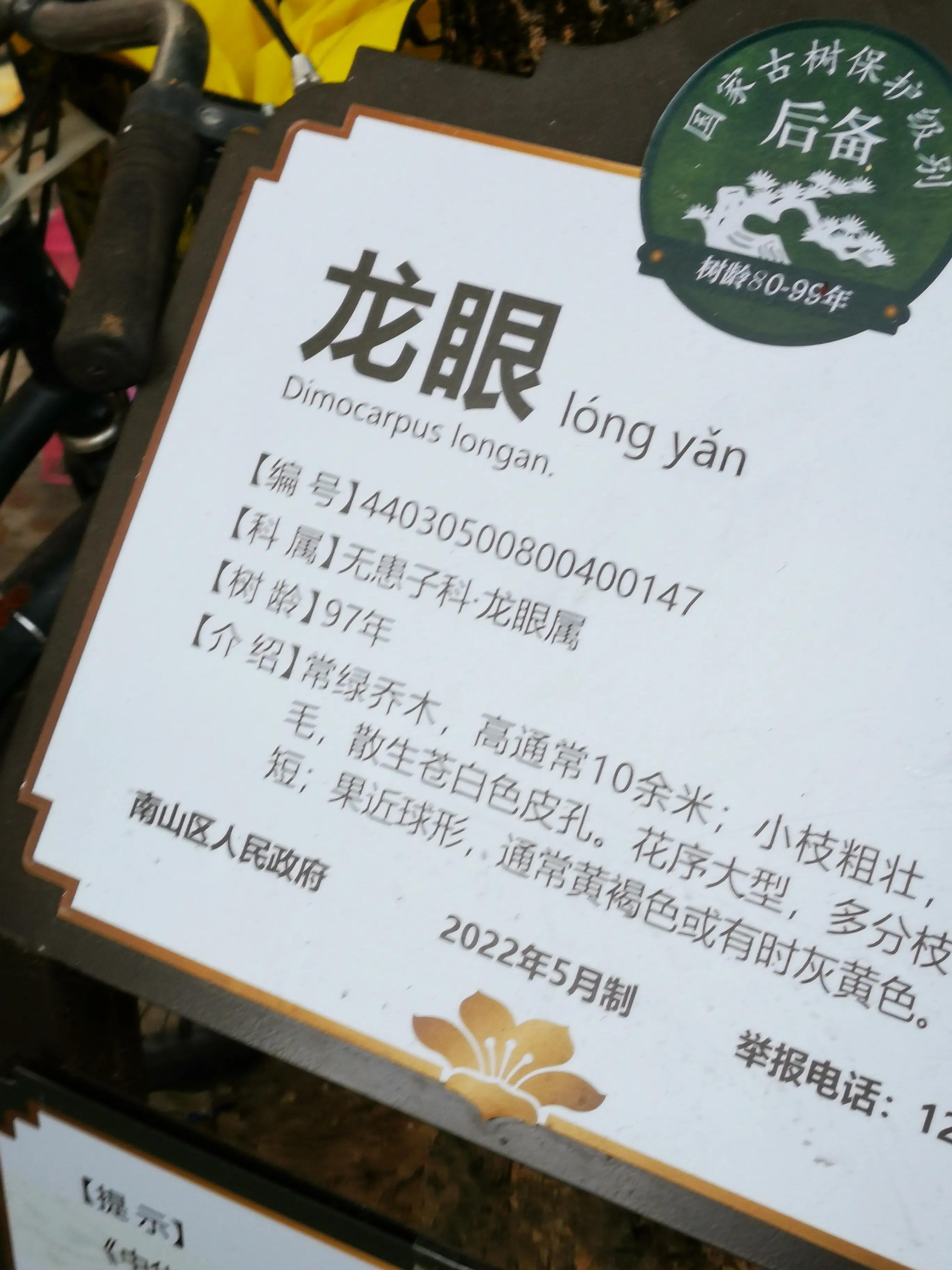 深圳塘朗村最新拆迁消息,深圳城中村真实视频