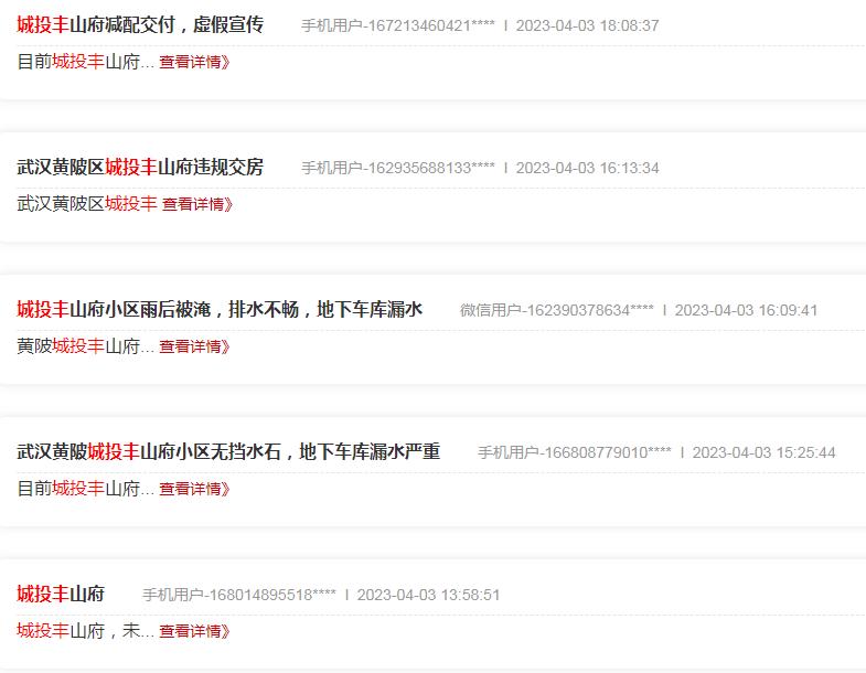 武汉城投丰山府去化率,武汉城投丰山府