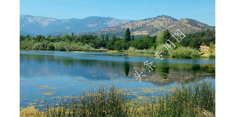 结婚13天妻子竟怀孕40天,新婚14天妻子被查出怀孕三个月