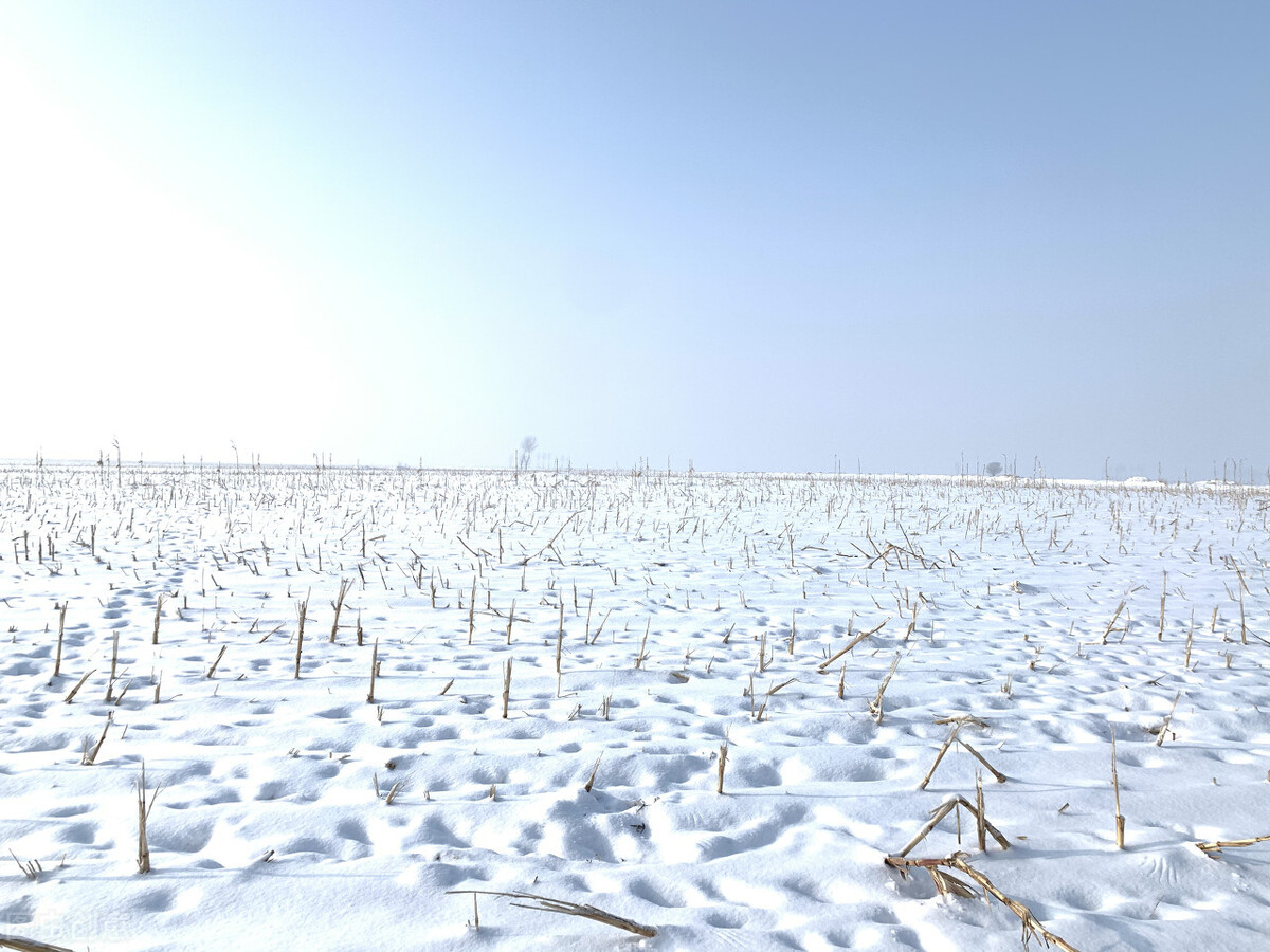 不通则痛,寒凝则痛,只有两味药的止痛良方,胃痛最有效